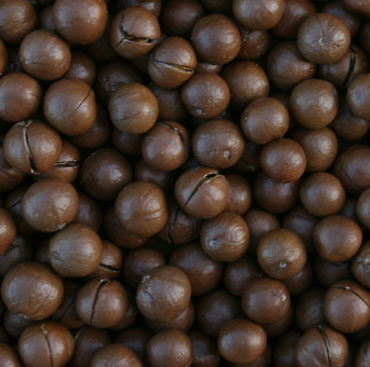 Macadamias